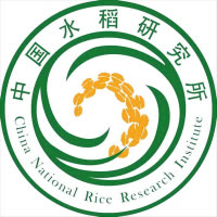 中国水稻研究所